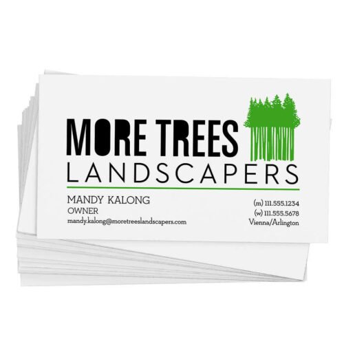 Full Color Business Card Magnet - .036" (Copy)