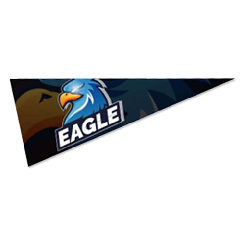 Full Color 5" x 12" Felt Pennant
