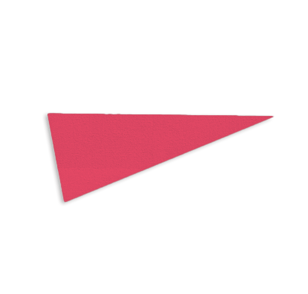 9" x 24" Felt Pennant - Image 2