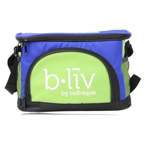 Picnic Lunch Refrigerator Thermal Bag - Image 2