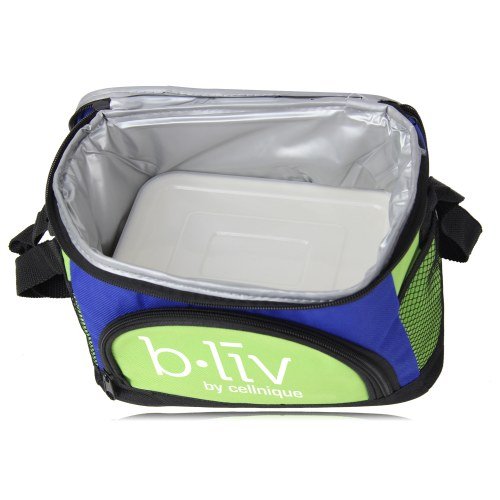 Picnic Lunch Refrigerator Thermal Bag - Image 3